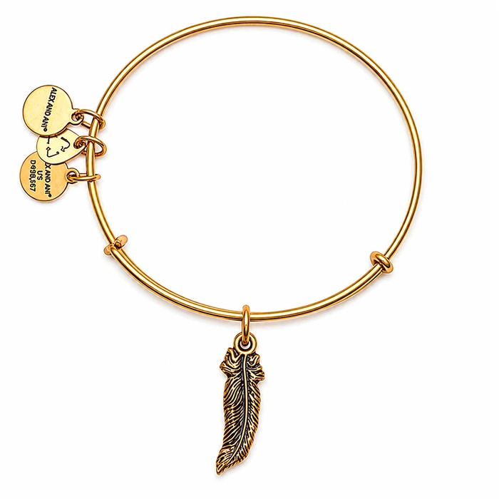 Alex and Ani Γυναικείο Βραχιόλι Επιχρυσωμένο 20 cm — A17EB25RG