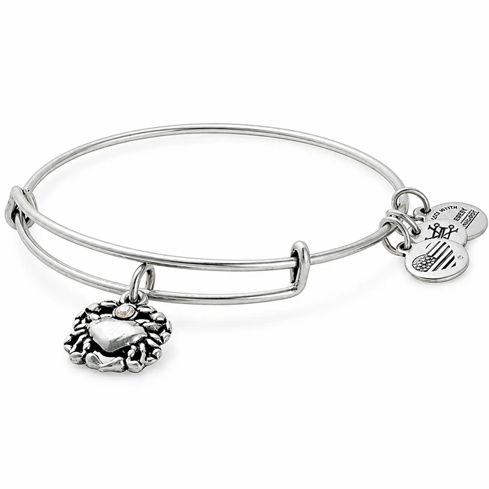 Women's Bracelet Alex and Ani 20 cm (A17EBCRRS)