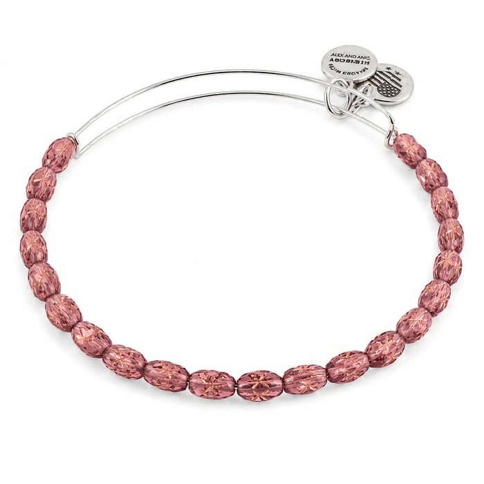 Γυναικείο Βραχιόλι Alex and Ani 20 cm - Plum (A17EBSLPRS)