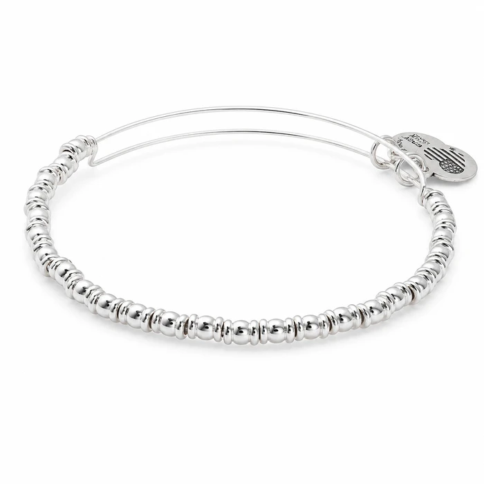 Women's Bracelet with Diamond 20cm Alex and Ani A17EBROCSS