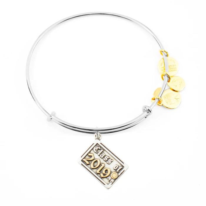 Γυναικείο Βραχιόλι Alex and Ani 19cm A19EB04TTRS (Γκρι)