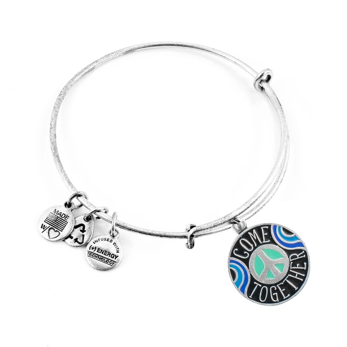 Γυναικείο Βραχιόλι 20cm Alex and Ani AS19EP02RS