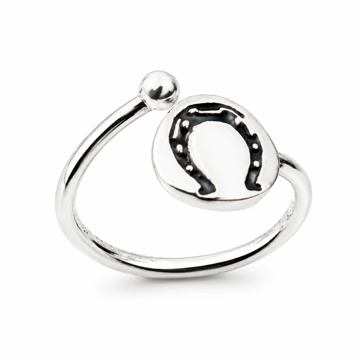 Women's Ring Alex and Ani PC19ERH03S
