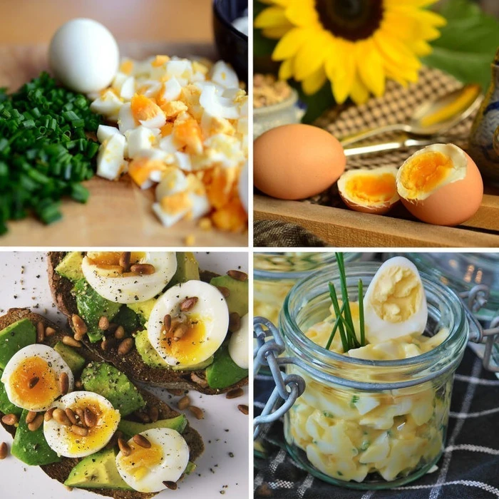 Egg Boiler FIRST AUSTRIA FA-5115-3-GR 8 Eggs 500W Dark Grey