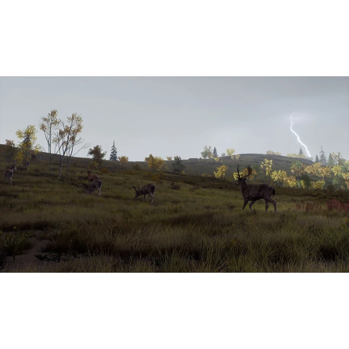 THQ Nordic Παιχνίδι PS5 Way of the Hunter Wild Expeditions