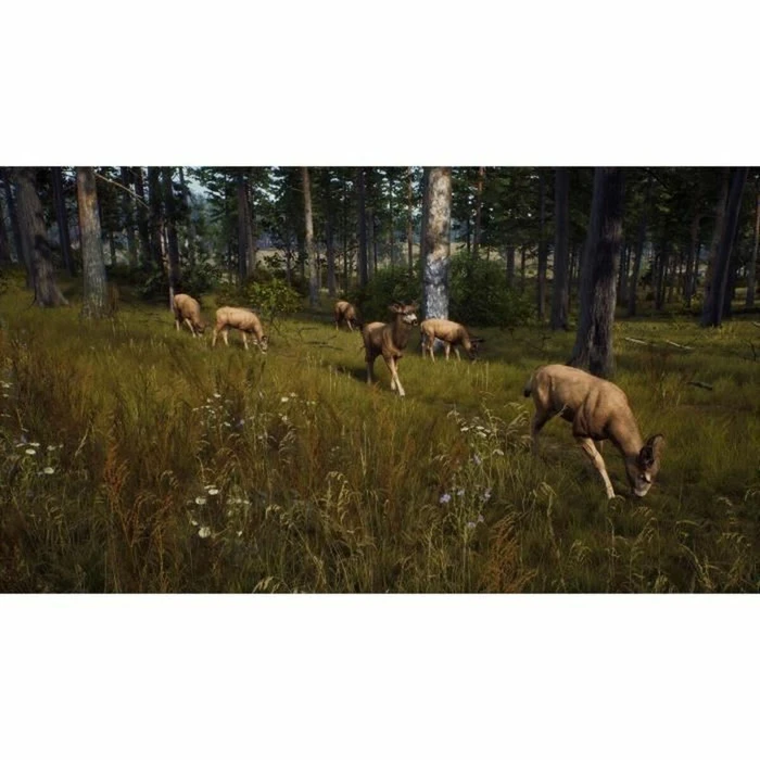 THQ Nordic Παιχνίδι PS5 Way of the Hunter Wild Expeditions