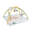 Fisher Price Simple Senses Νεογέννητο Γυμναστήριο