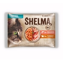 Υγρή Τροφή Γάτας Shelma Kitten with salmon and turkey in sauce 4x85g