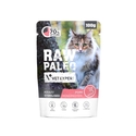 Υγρή Τροφή Γάτας Vetexpert Raw Paleo Adult Sterilised Pork 100g