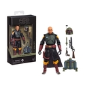 Hasbro Fans Star Wars The Black Series Misty G2568
