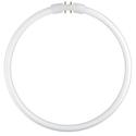 Λαμπτήρας Φθορισμού Κυκλικός Osram Circular Fluorescent Lamp T5 FC22W 840 2GX13