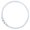 Λαμπτήρες φθορισμού Osram Circular Fluorescent Lamp T5 FC40W 830 2GX13
