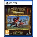 Βιντεοπαιχνίδι PlayStation 5 Sony HARRY POTTER CAMPEONES DE QUIDDITCH