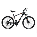 OEM Mountain E Bike Rebel 36V 250W