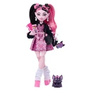 Monster High Doll Monster High Draculaura with Accessories