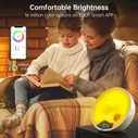 EDUP A90 Ξυπνητήρι Wake Up Light (Sunrise/Sunset) με Bluetooth, FM και WiFi
