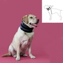 Κολάρο Cervical Collar for Dogs KVP Μαύρο (6-28 cm)