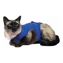 Pet Recovery T-Shirt KVP Μπλε (45-53 cm)