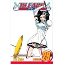 Viz Bleach Vol. 29 Paperback Manga