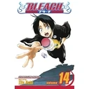 Viz Bleach Vol. 14 Paperback Manga