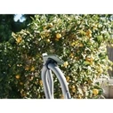 Moment Strap Anywhere Mount για MagSafe