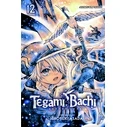 Viz Tegami Bachi GN Vol. 12 Paperback Manga