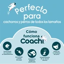 Training toy Coachi Stick Μπλε