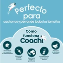 Κασετίνα Coachi Train & Treat Μπλε