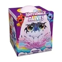 Μινιατούρα Spin Master Hatchimals: Alive Mystery Hatch - Draggle (6069282)