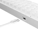 Gaming Πληκτρολόγιο White Shark Mechanical Keyboard Red Switch Gk-004211 White