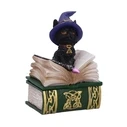 Φιγούρα Nemesis Now Adult: Gothic - Binx (11cm)