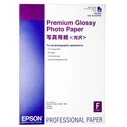 Φωτογραφικό Χαρτί Epson Premium Glossy A2, 25 Sheet, 255g S042091