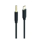 Καλώδιο 2GO AUX/MP3 for Type-C - Stereo 100cm Black