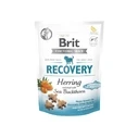 Ξηρά Τροφή Σκύλων Brit Care Dog Recovery&Herring- 150 g