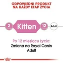 Υγρή Τροφή Γάτας Royal Canin Kitten Jelly 85 g