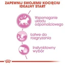 Υγρή Τροφή Γάτας Royal Canin Kitten Jelly 85 g