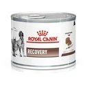Υγρή Τροφή Σκύλων Royal Canin Recovery Wet dog and cat Mousse Poultry, Pork 195 g