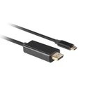 Καλώδιo USB Lanberg CA-CMDP-10CU-0030-BK 3 m Type-C DisplayPort Black