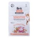 Ξηρά Τροφή Γάτας Brit Care Grain-Free Sensitive Turkey&Salmon - 400 g