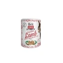 Σνακ Γάτας Brit Care Superfruits Lamb 100 g