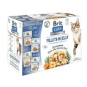 Υγρή Τροφή Γάτας Brit Care Fillets in Jelly Flavour Box12 x 85g