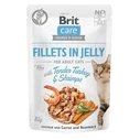 Υγρή Τροφή Γάτας Brit Care Fillets in Jelly Flavour Box12 x 85g