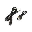 Karaoke Blow CityLIGHT + remote control + microphone