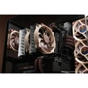 Case Fan Noctua NF-A14X25R G2 PWM SX2-PP 14 cm