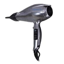 Πιστολάκι Μαλλιών Babyliss Pro Digital Grey, Silver 2200 W