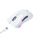 Ποντίκι Ασύρματο Havit MS966WB Gaming