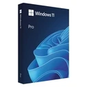 Εφαρμογή Microsoft Windows 11 Professional BOX USB PL