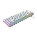 Gaming Πληκτρολόγιο Cherry K5V2 Compact USB QWERTZ German White
