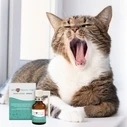 Καθαριστικά Σκύλου JM Sante Vet Protector Oral cavity spray – liquid for the oral cavity for dogs and cats - 30 ml
