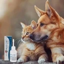 Καθαριστικά Σκύλου JM Sante Vet Protector Uszy Plus - ear solution for dogs and cats – 50 ml